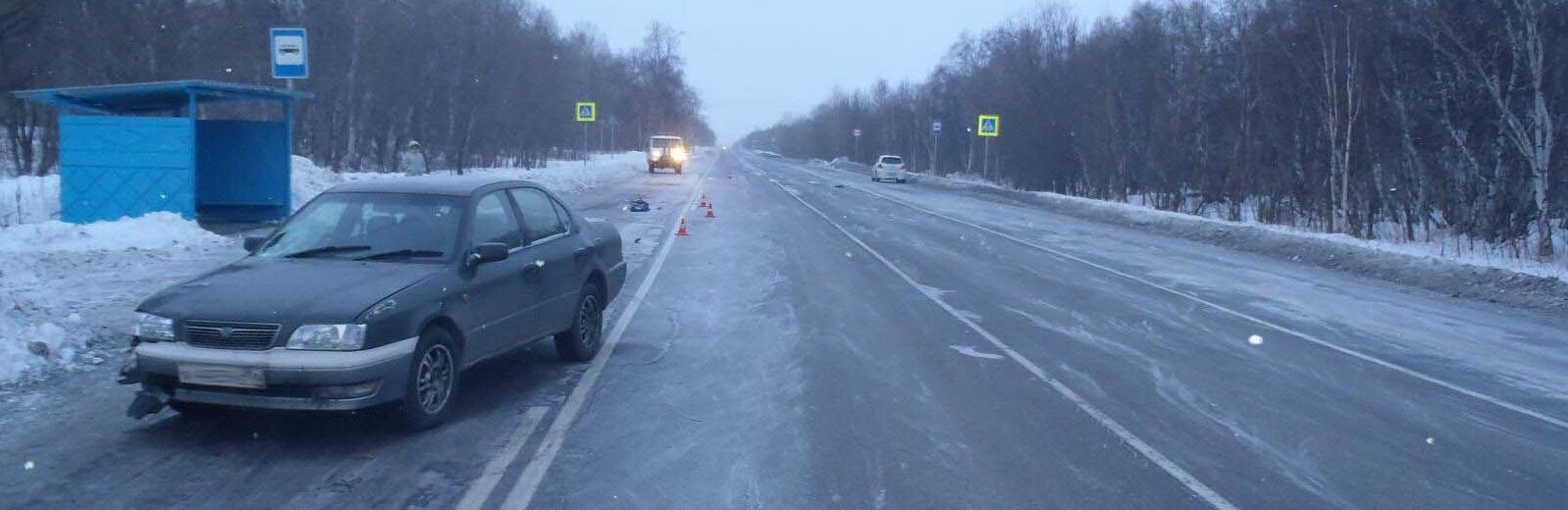 Елизовчанка погибла под колесами авто на мильковской трассе